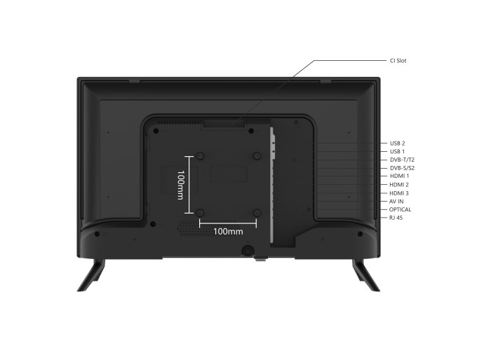 24" T1 HD LED VIDAA Smart TV