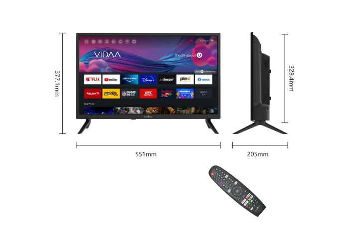 24" T1 HD LED VIDAA Smart TV