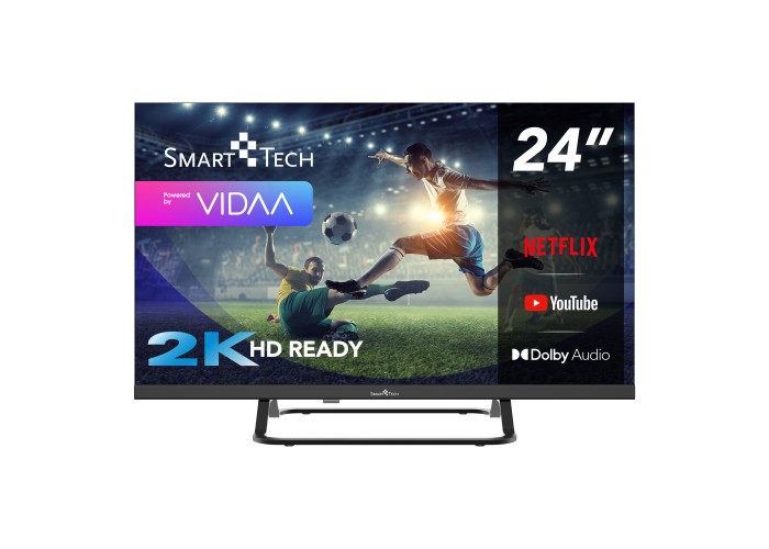 24" 2V HD LED VIDAA Smart TV