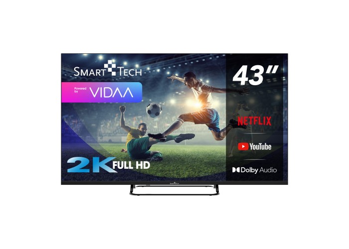 42" 2V FHD LED VIDAA Smart TV