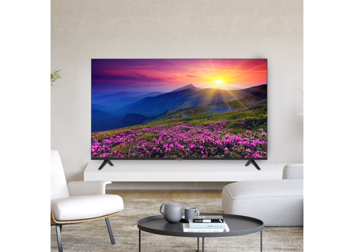 65" V1 4K UHD LED VIDAA Smart TV