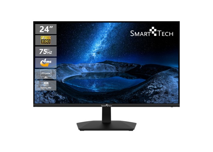  24" Business Monitor