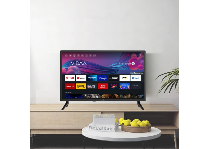 24" T1 HD LED VIDAA Smart TV